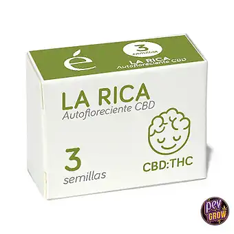 Auto La Rica CBD-frön –...