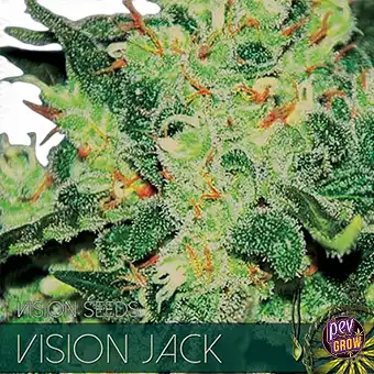 Auto Vision Jack zaden –...