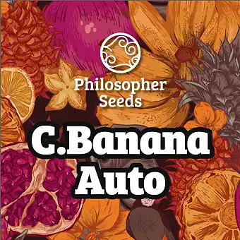 Auto Chiquita Banana –...