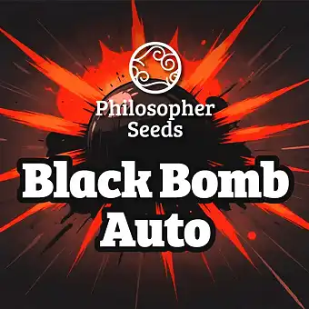 Auto Black Bomb –...