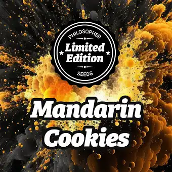 Mandarin Cookies nőstény...