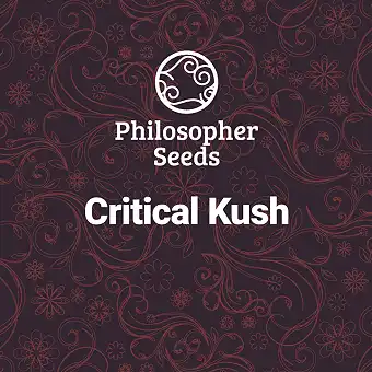 Critical Kush женени семена...