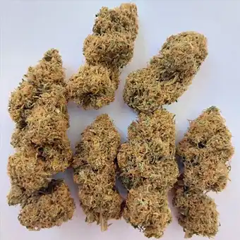 Magic Carrot Regular...