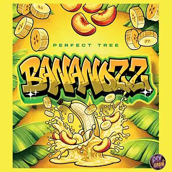 Graines féminisées Bananozz...
