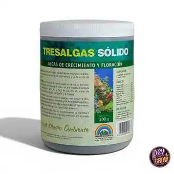 Tres Algas Solido od Trabe...
