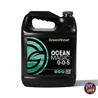 Ocean Magic Organiczny...