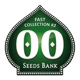 Fast Collection 2 – Llavors...