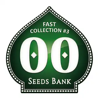 Fast Collection 3 Samen –...