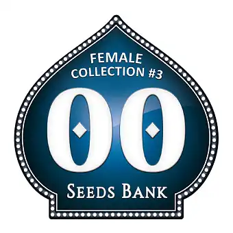 Collection Female 3 –...