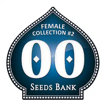 Female Collection 2...