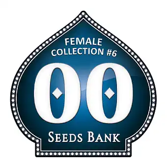 Female Collection 6...
