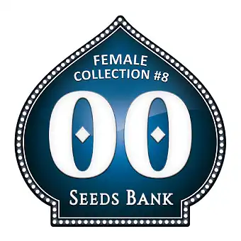 Female Collection 8...