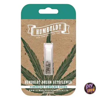 Humboldt Dream Auto-frø –...