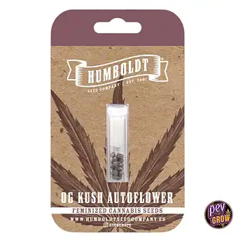 OG Kush Auto-frø – Humboldt...