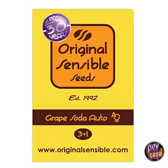 Grape Soda Auto-frø –...