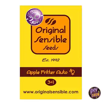 Auto Apple Fritter —...