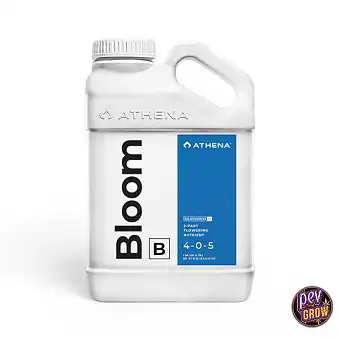 Bloom B Athena Blended Line...