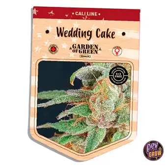Wedding Cake feminiserade...