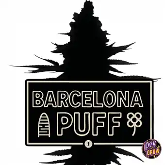 Auto Barcelona Puff haziak...