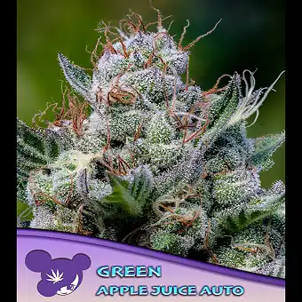 Auto Green Apple Juice –...