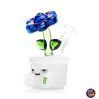 Bloom Bong  · Pipa d'aigua...