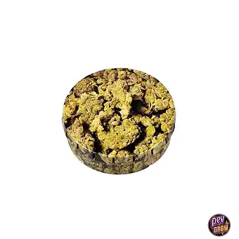 Click Clack Buds...