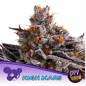 Насіння High Mars...