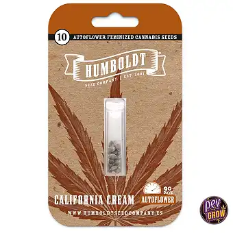 Auto California Cream –...