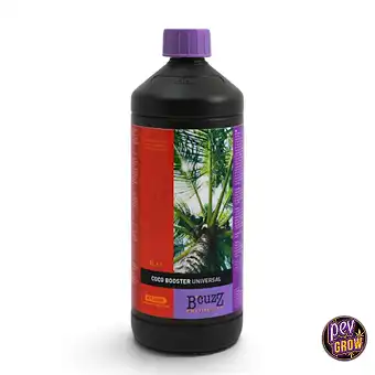 Booster Coco Uni de Atami –...