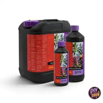Stimulator Coco Bloom de la...