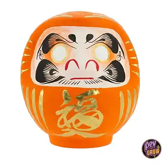Daruma Tradizionala...