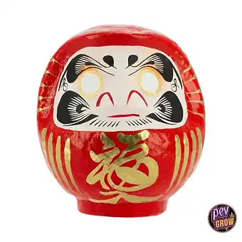 Hagyományos Arany Daruma...