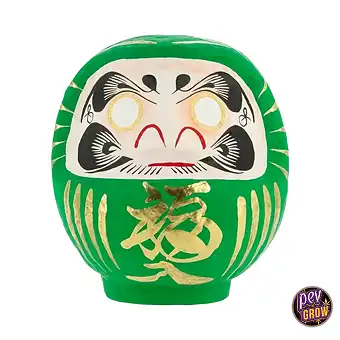Tradicionalni zlati Daruma...