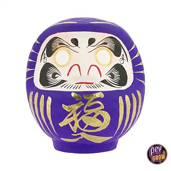 Dollé Daruma Or...