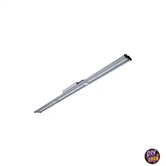 Led Platinum 100W Daystar –...
