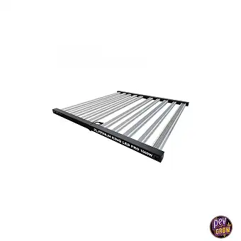 Platinum King LED Pro 1000W...