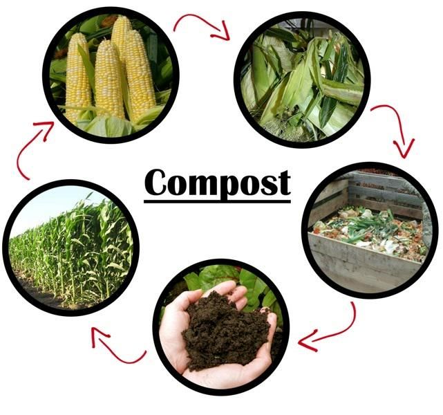Make your own homemade compost