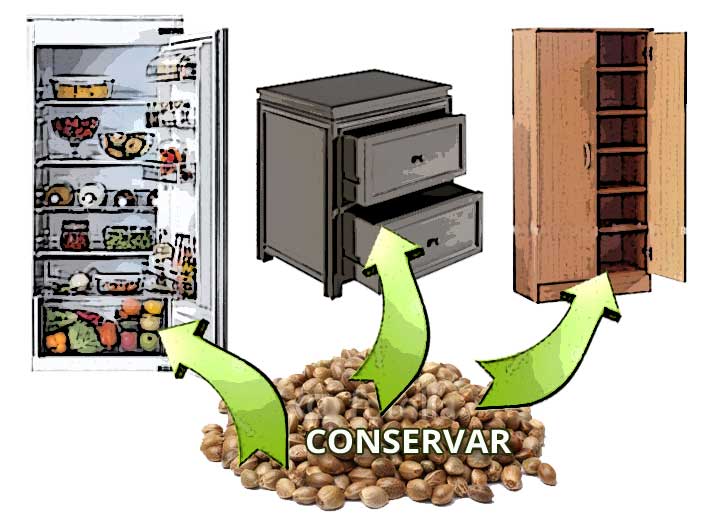 como-conservar-semillas-de-marihuana1