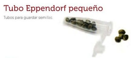 Conservar semillas de cannabis