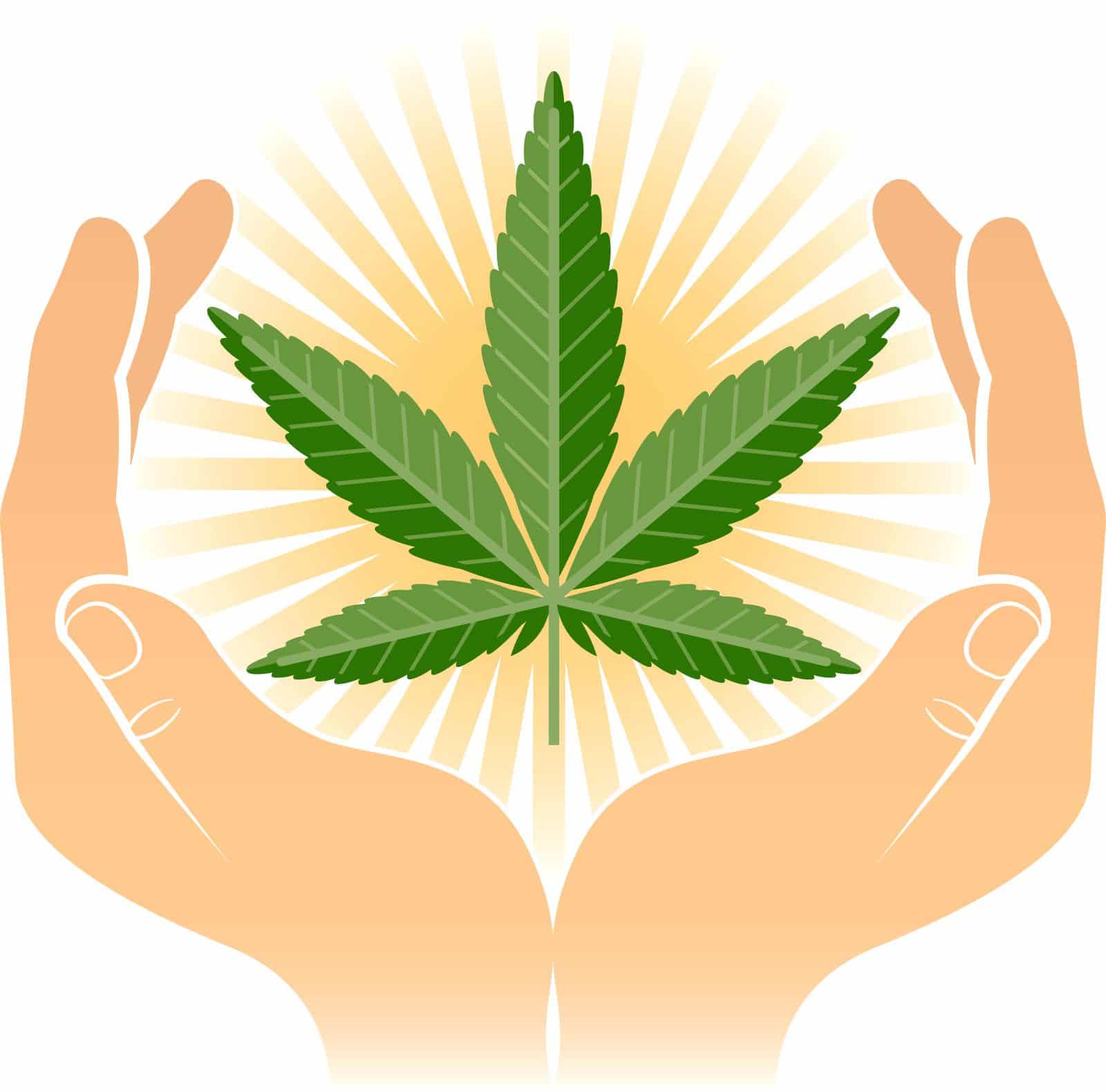 Graines de marijuana à des fins médicinales: les plus importantes, ses utilisations et avantages