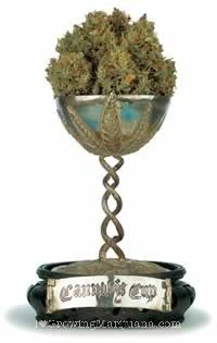 01-cannabis-cup-winners