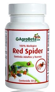 01-redspider-1