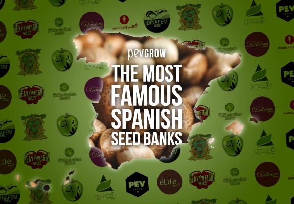 The Most Famous Spanish Seed Banks