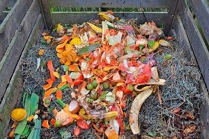 No cooked food waste