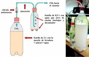CO2 y cultivo interior