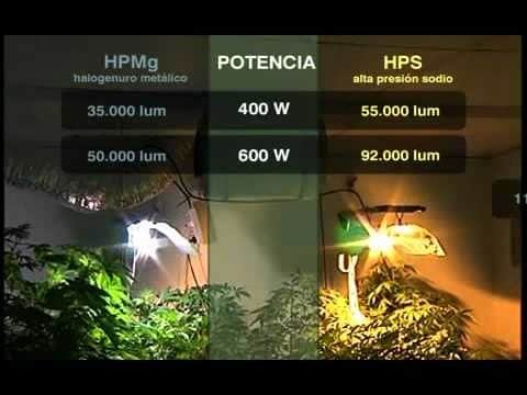 Lampes HPS de vapeur de sodium, les HM, halogénure de métal.