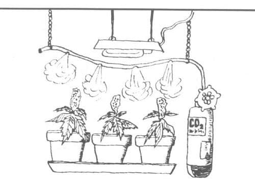 CO2 y cultivo interior
