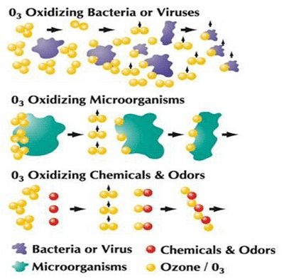 How ozone works