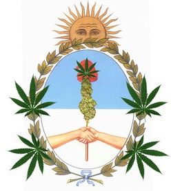 Marijuana in Argentina