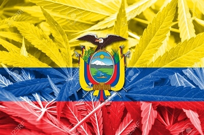 La marihuana en Ecuador